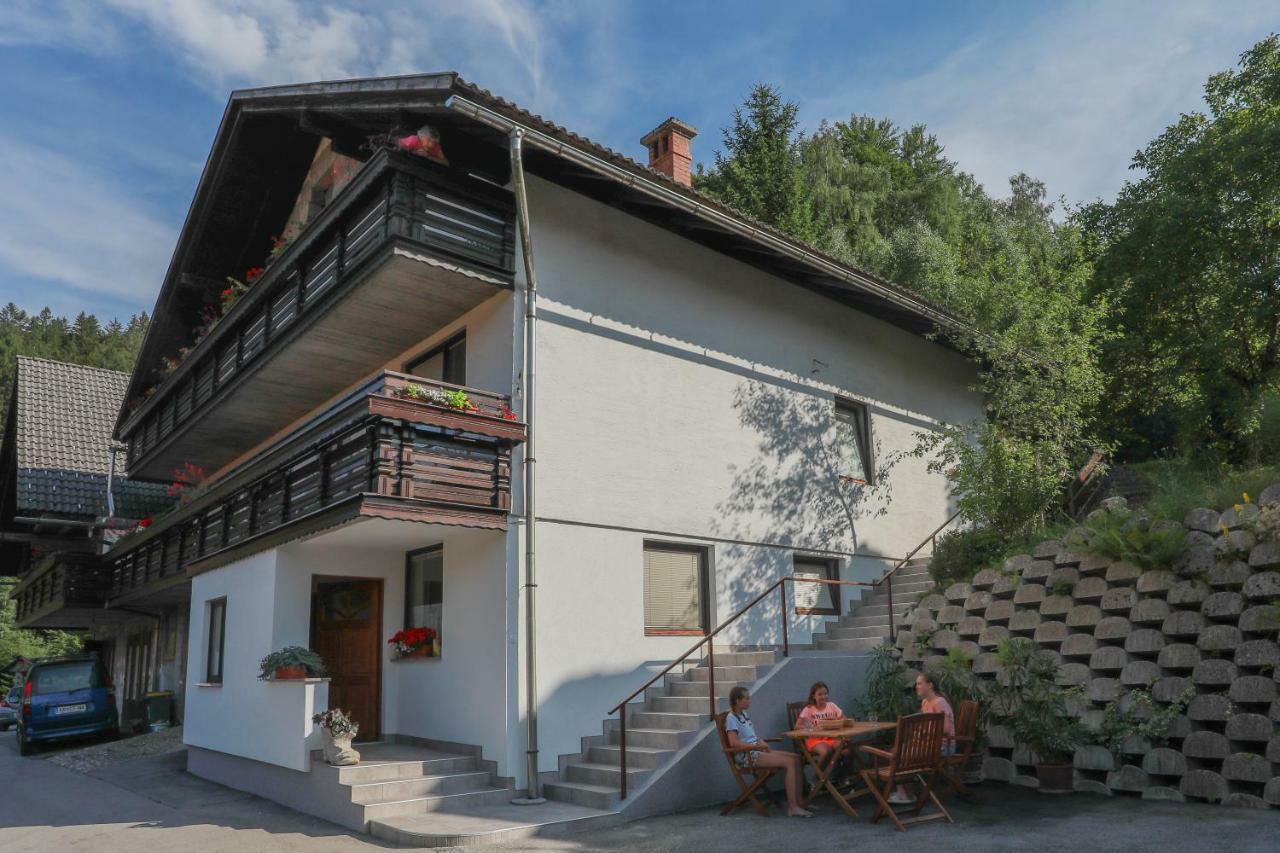 Apartamento Apartma Jakopic Zgornje Gorje Exterior foto